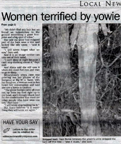 Manning Times Newspaper Article Yowie Sighting